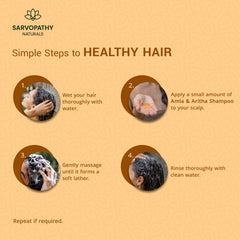 Amla Areetha Shampoo