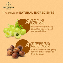 Amla Areetha Shampoo