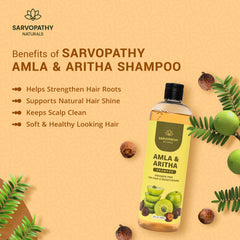 Amla Areetha Shampoo